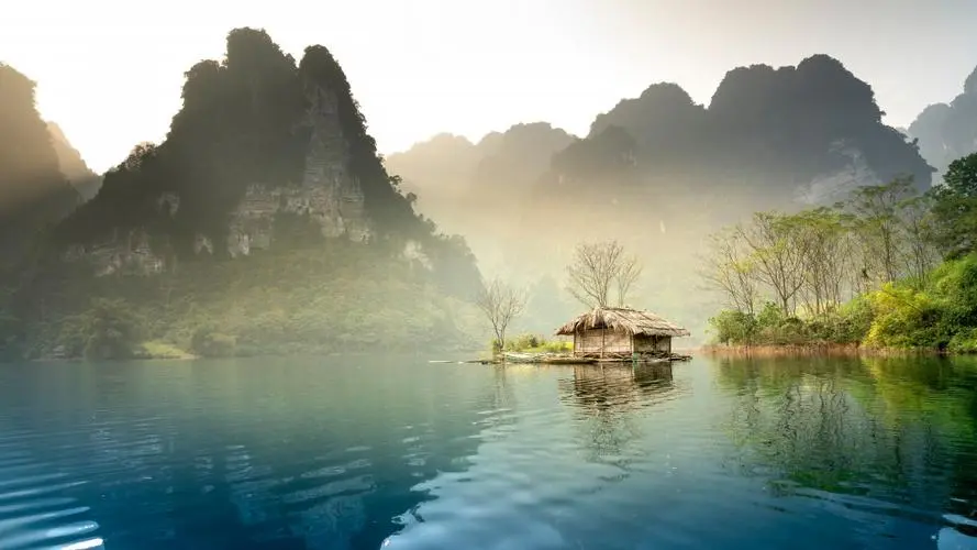 绿色稳定性高效